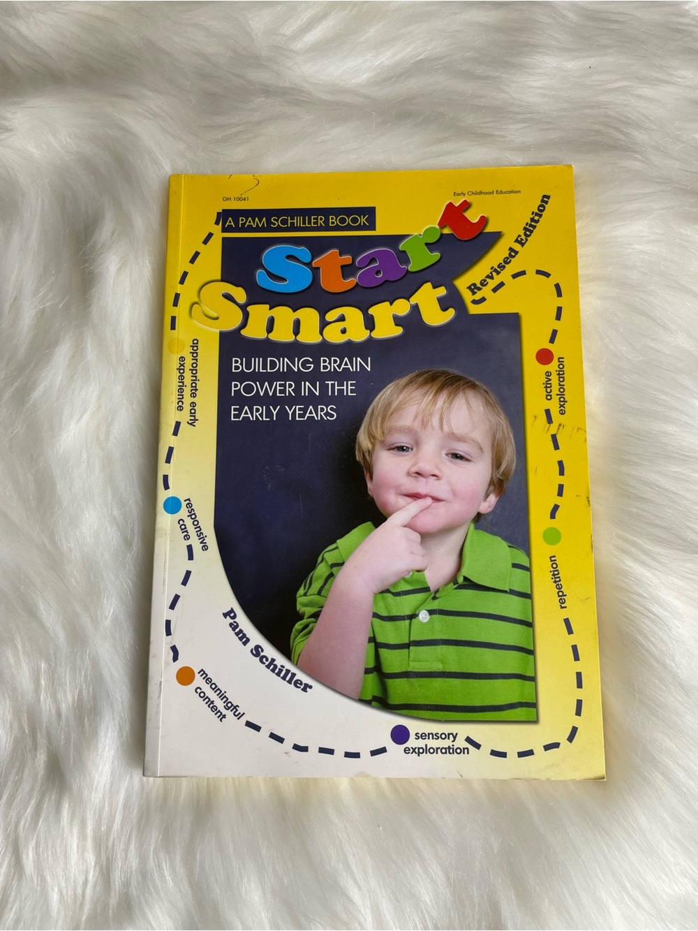 Start Smart Building Brain Power In The Early Years Book